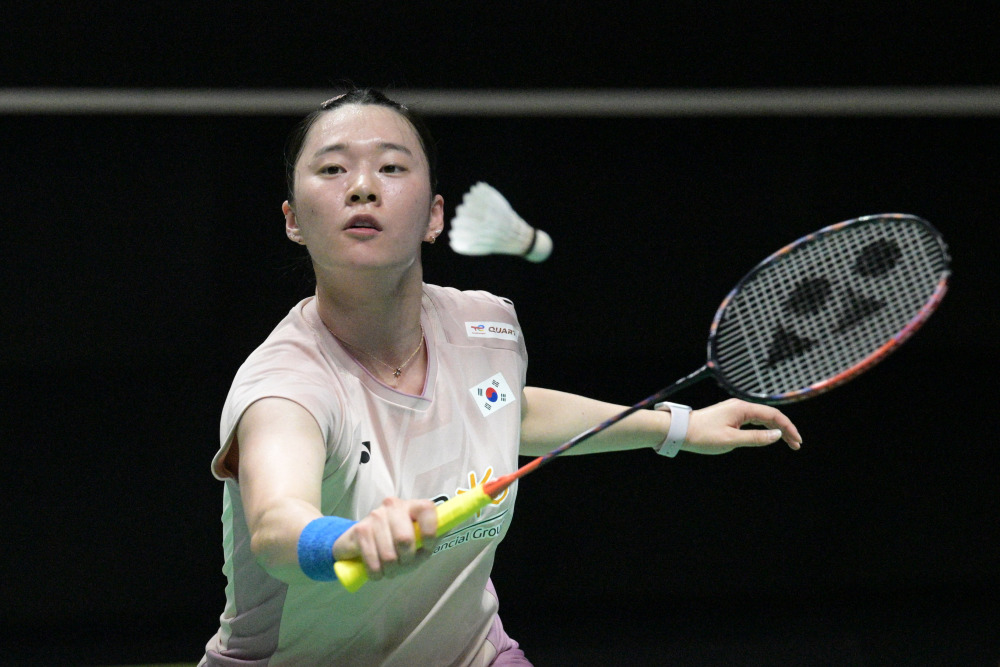 在萨博尼斯 在萨博尼斯