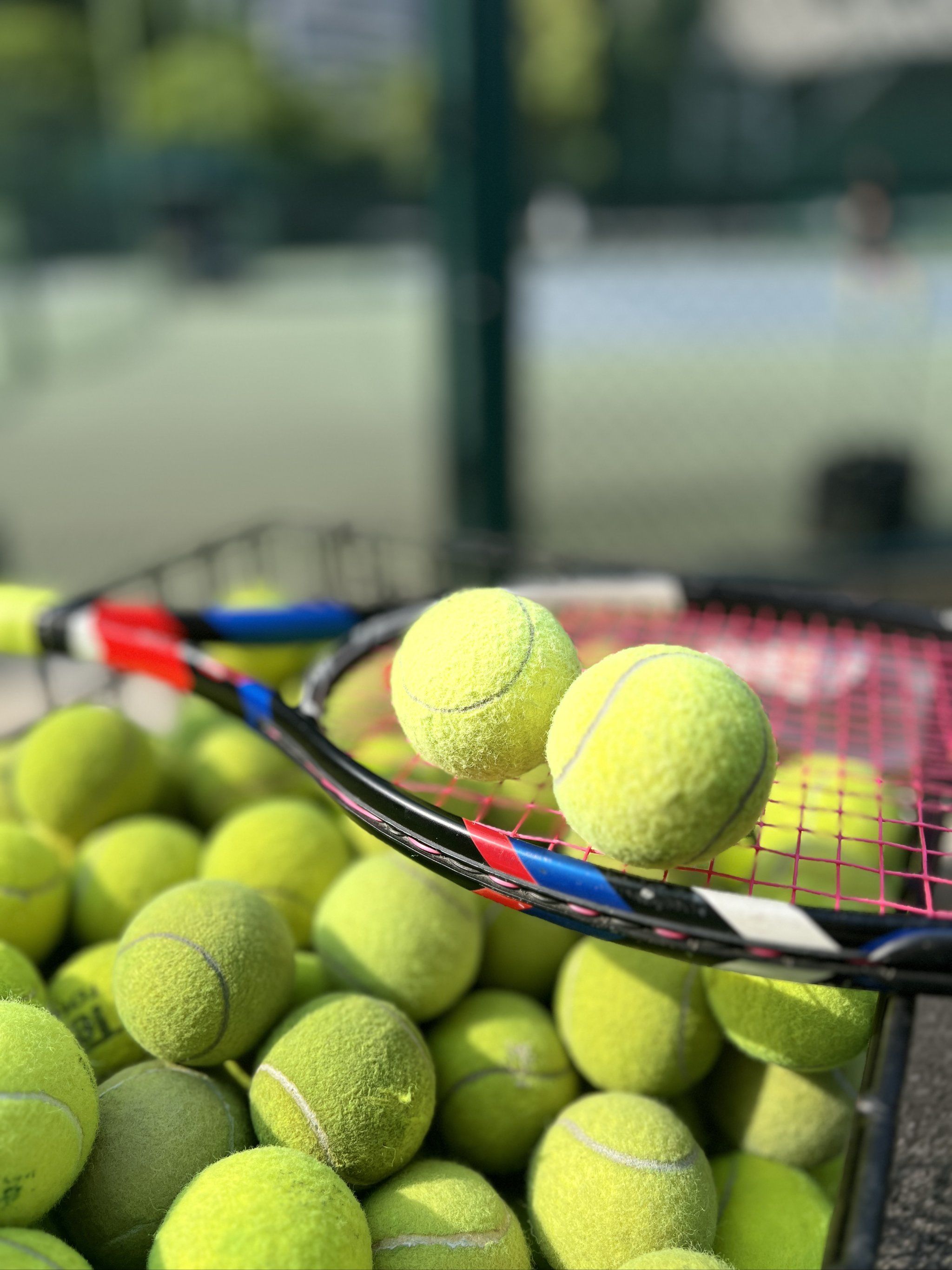 A的大门 A的大门