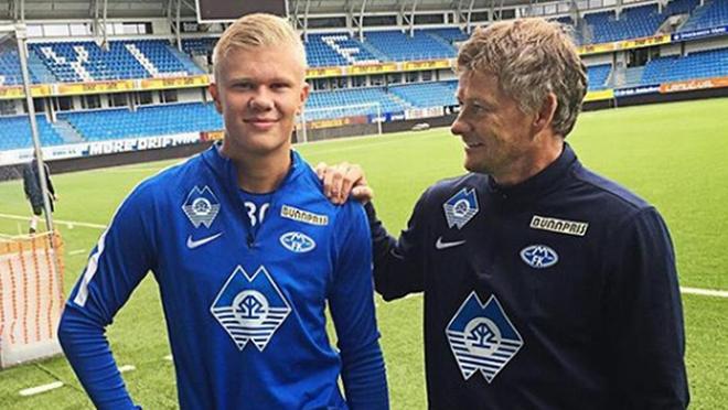 程化与分工 程化与分工